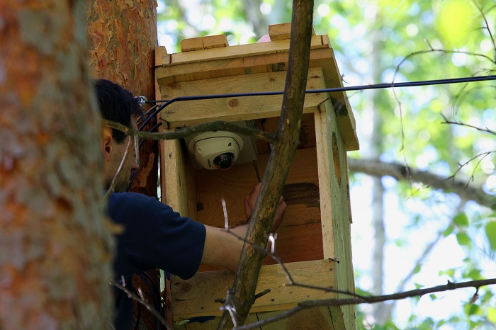 Mounting the camera into the nest